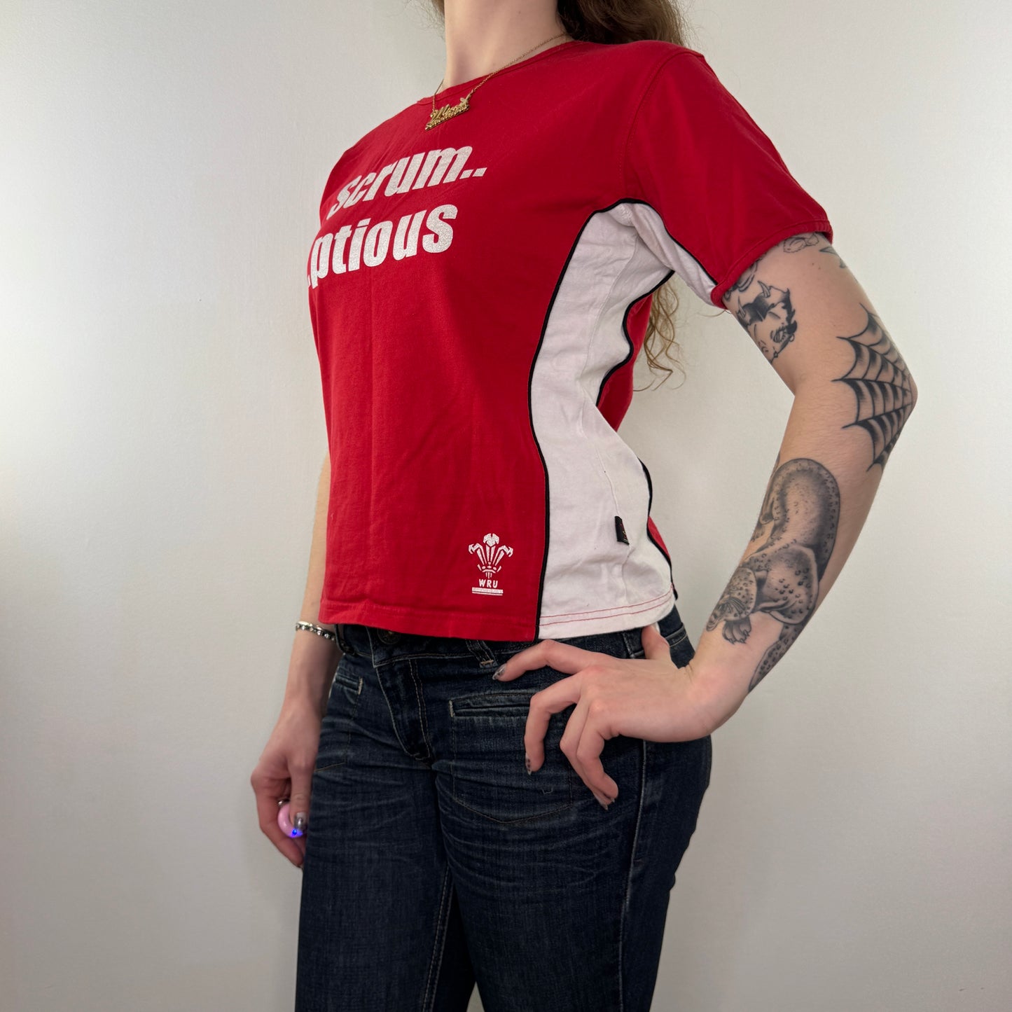 Y2K vintage Wales rugby slogan top