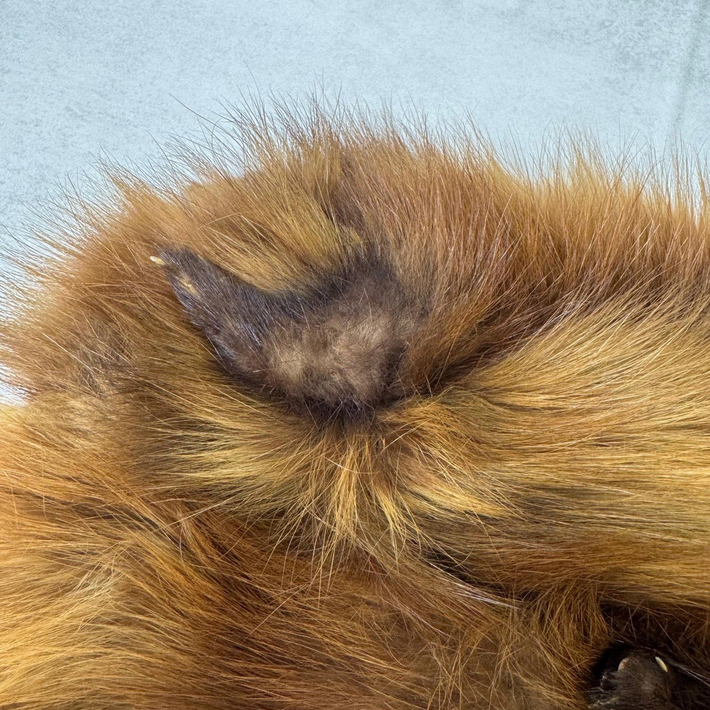 Vintage genuine fur hat with feet brown pillbox style