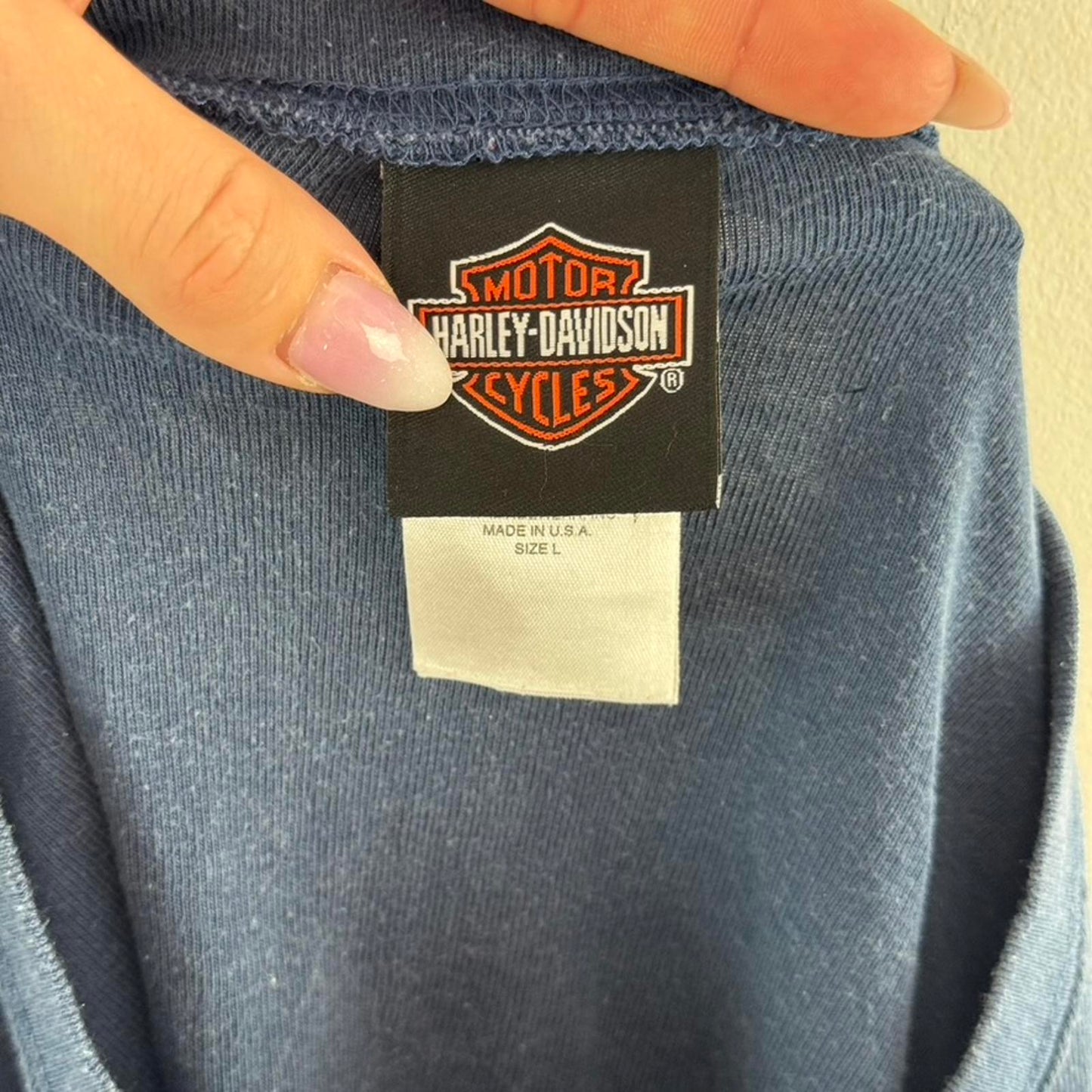 Vintage Harley Davidson long sleeve top skull filigree fleur de lis graphic