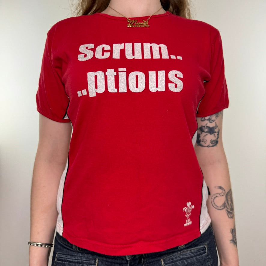 Y2K vintage Wales rugby slogan top
